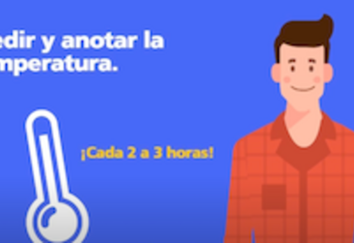 Cuidados del dengue en casa