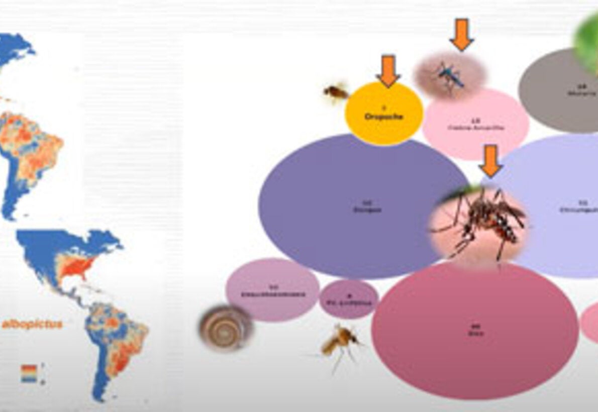 Taller teórico-práctico sobre nuevas tecnologías para el control de Aedes aegypti