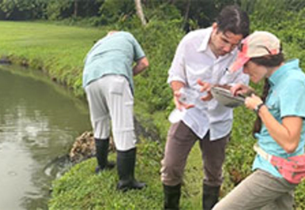 Puerto Rico Toward the Elimination of Schistosomiasis: Science, History, and Collaboration