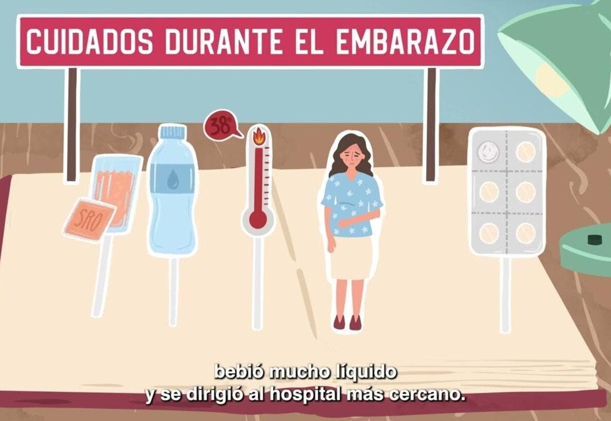 Dengue - Cuidados durante el embarazo