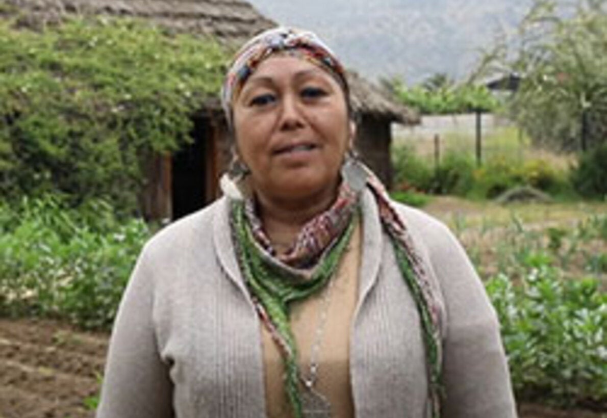Soy clave: Ruth Antipichún