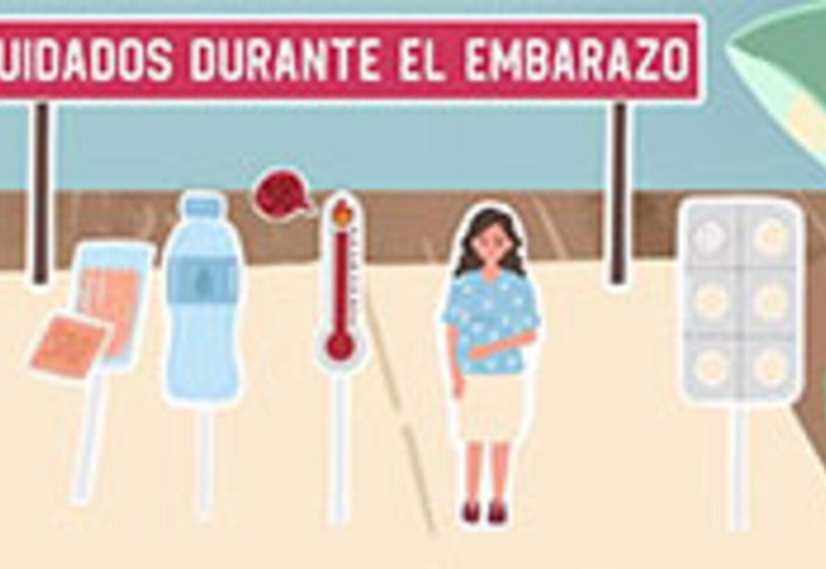 Dengue - Cuidados durante el embarazo