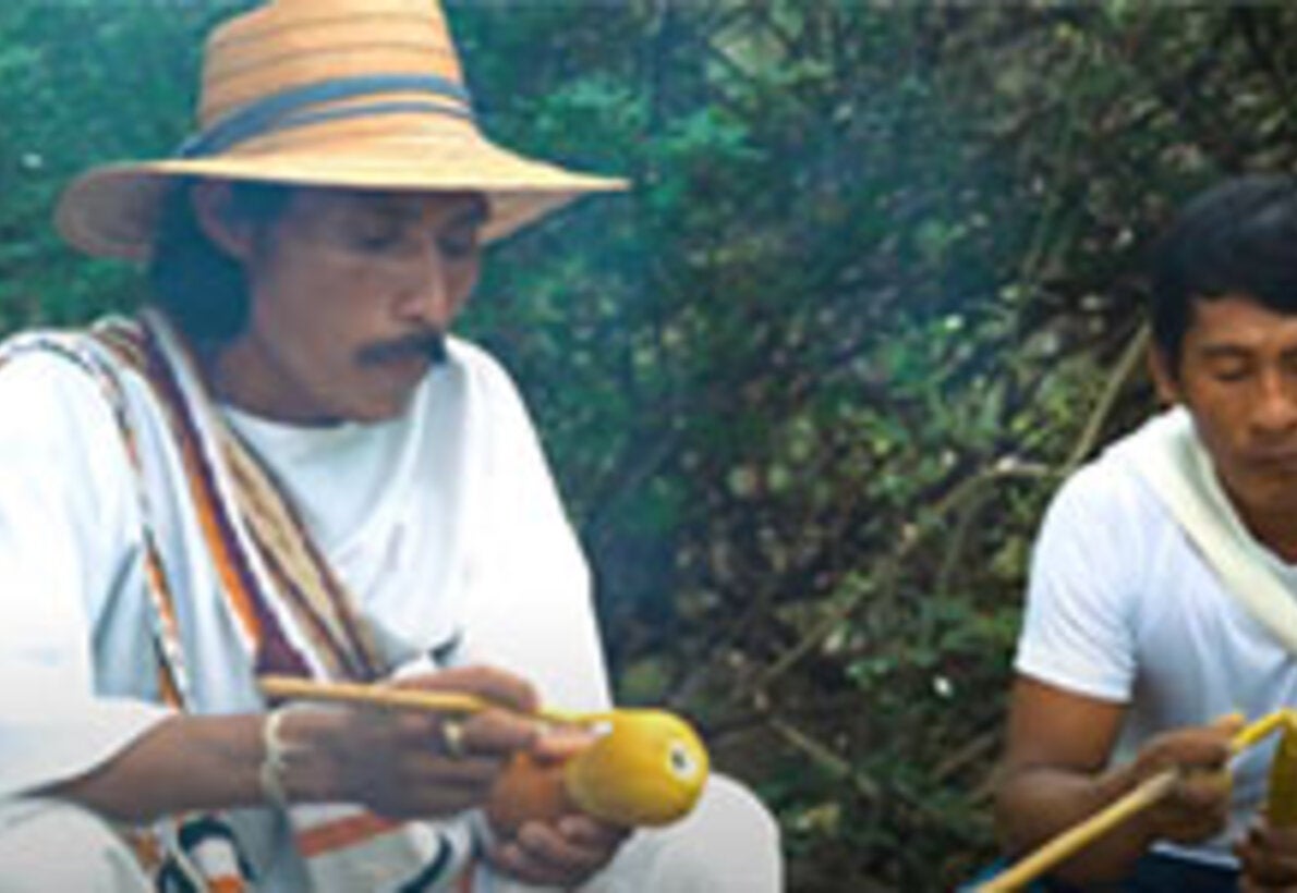 Cosmovision of the Wiwa people facing Chagas disease