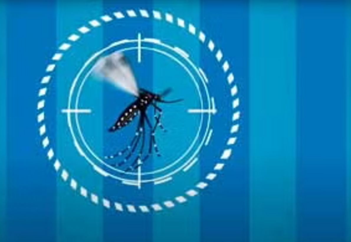 Pequeñas criaturas, grandes amenazas: Zika, dengue y chikungunya