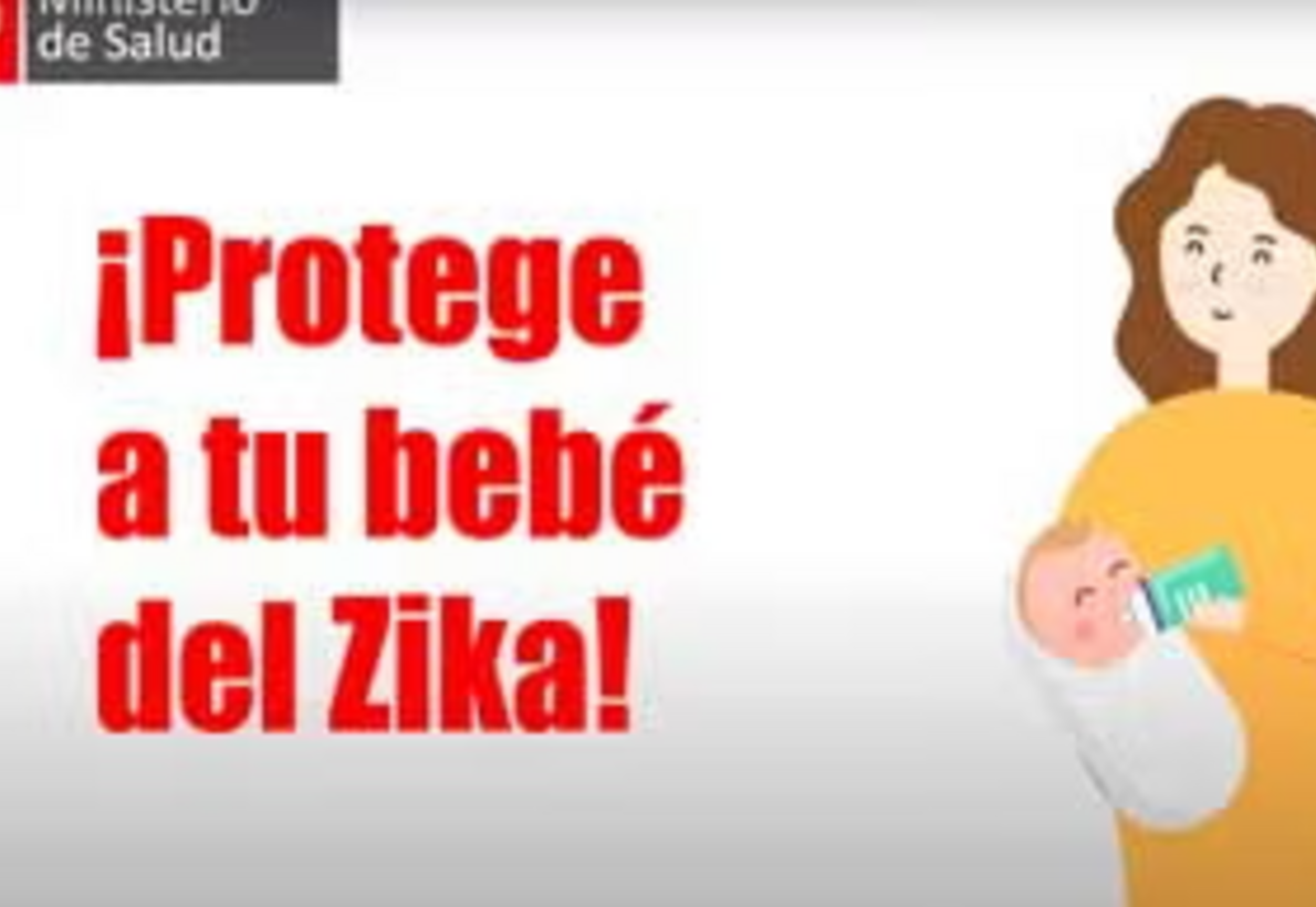Zika y embarazo