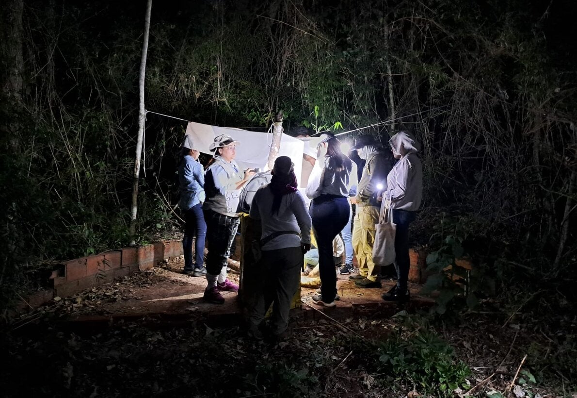 OPS fortalece la vigilancia de los insectos que transmiten leishmaniasis con una capacitación práctica regional en Argentina 