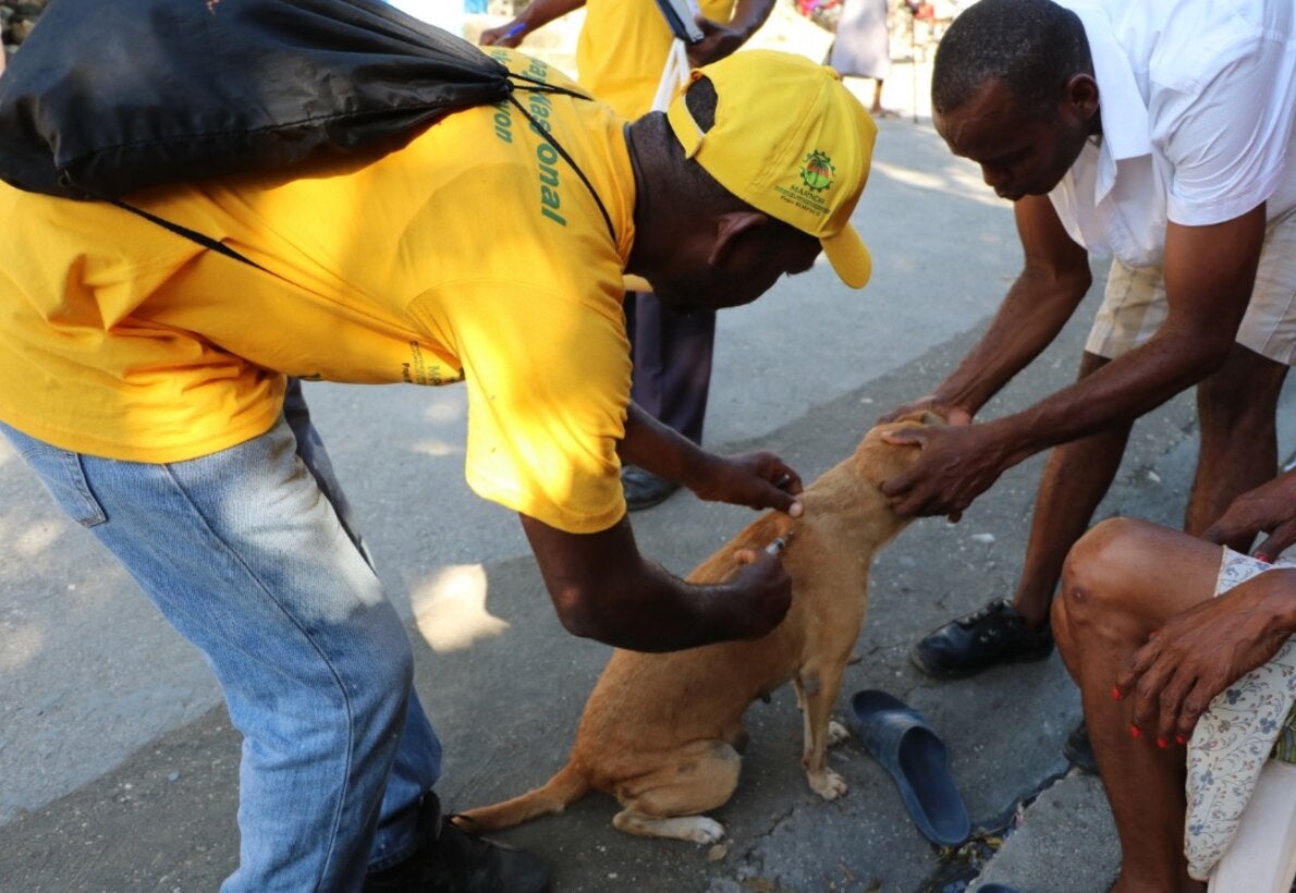 Eliminando la rabia humana transmitida por perros – un esfuerzo de equipo