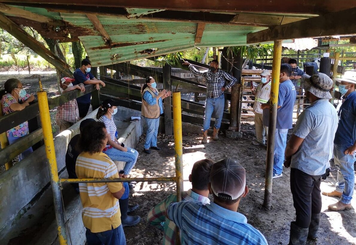 Reina Teresa, explicando a los ganaderos de Santa Barbará, sobre los cuidados que deben tener con sus vacas y evitar que se enfermen