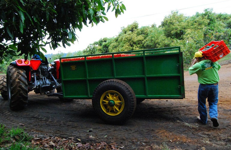 Food being prepared for transportation