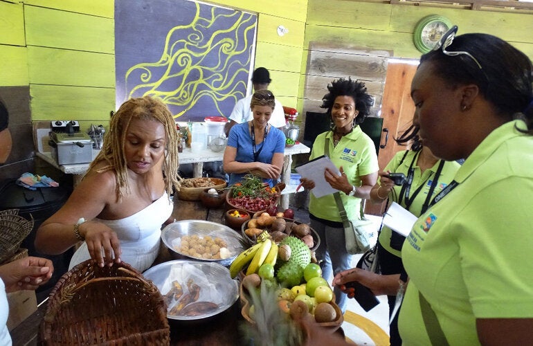 presentations on food security, nutritional security, and social determinants of food safety 