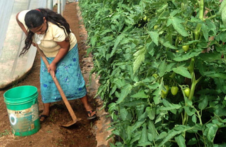 Women spread the word on food safety