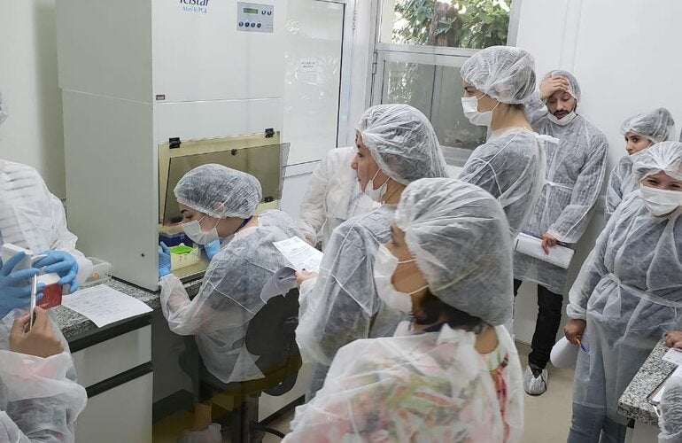 Diagnóstico molecular