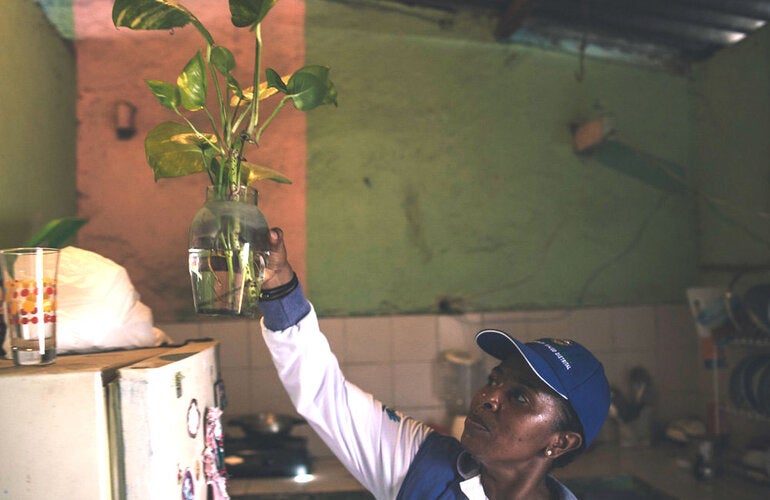 Removal of breeding grounds