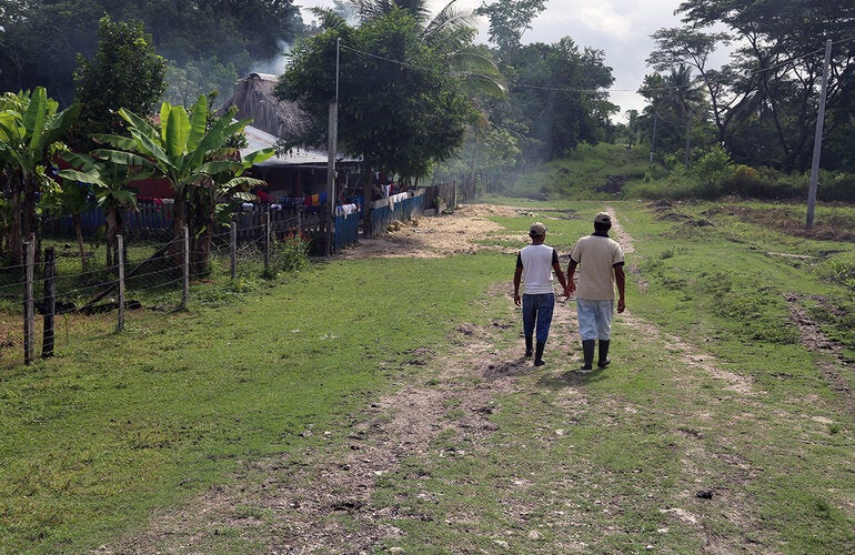 people walking jungle