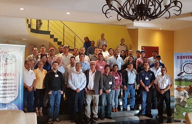 Simulacro de Atención a un Brote de Fiebre Aftosa en Panamá