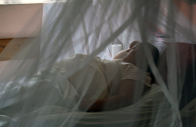 Pregnant woman behind a mosquito net