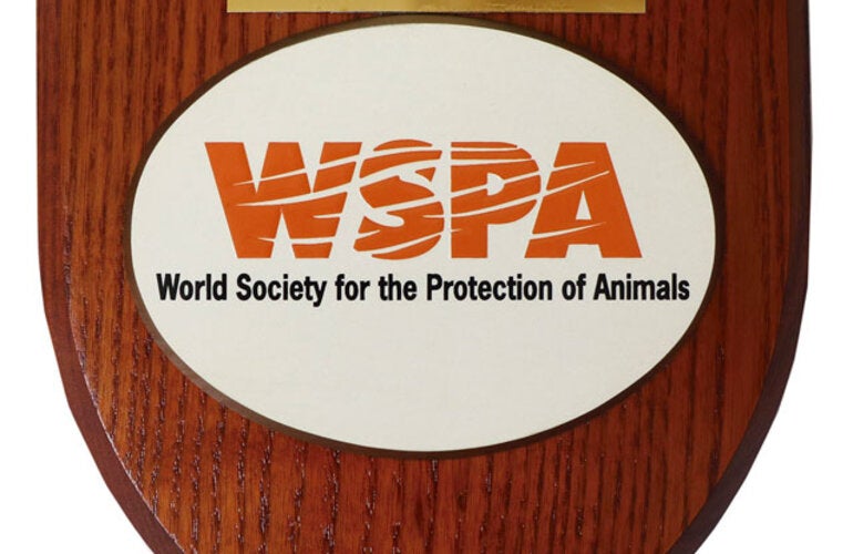 1990 - WSPA