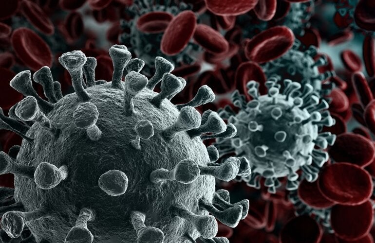 Coronavirus Disease (COVID-19)