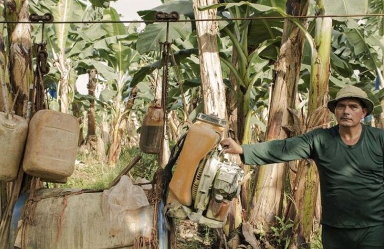 Costa Rica: 'Ripe' for malaria elimination