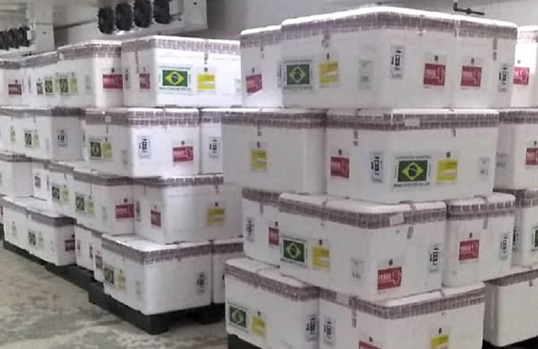 Vacunas donadas por Brasil