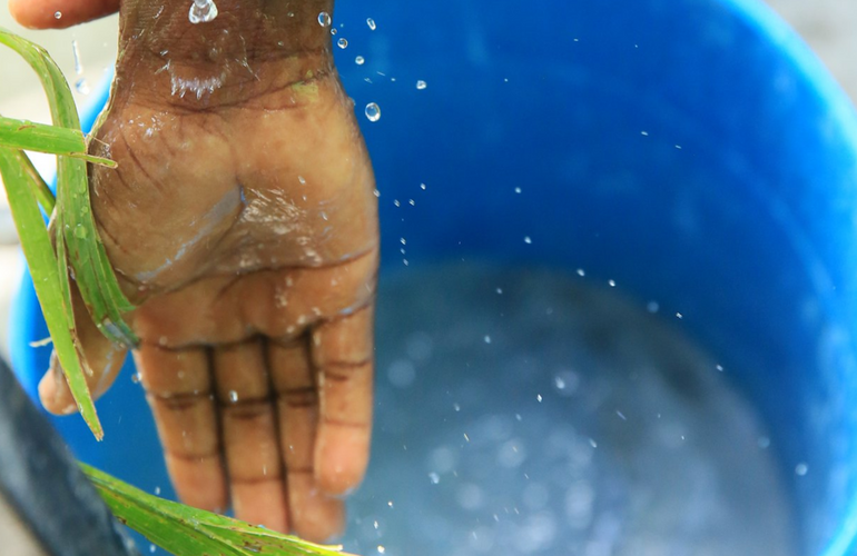 lavagem mãos escolas covid-19