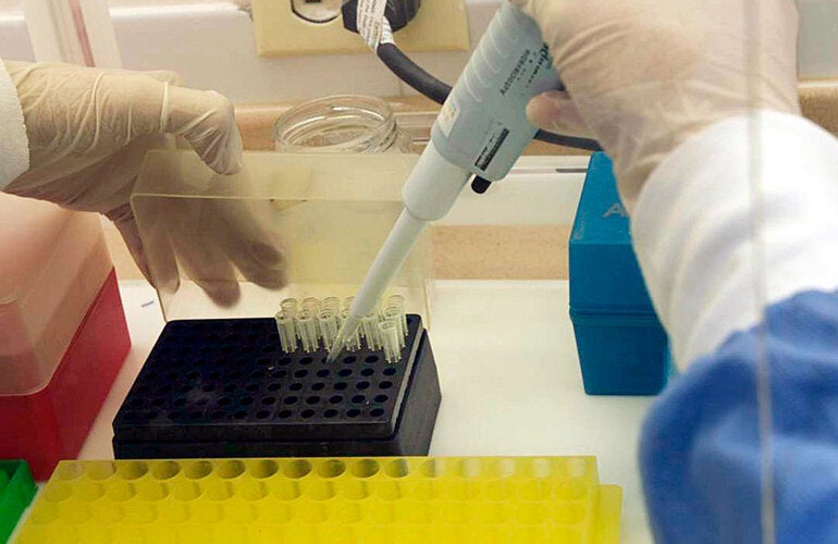 12 participants from the surveillance and research institutions of the government of Colombia and Ecuador completed two training modules of the Operational Research course to tackle antimicrobial resistance (AMR)