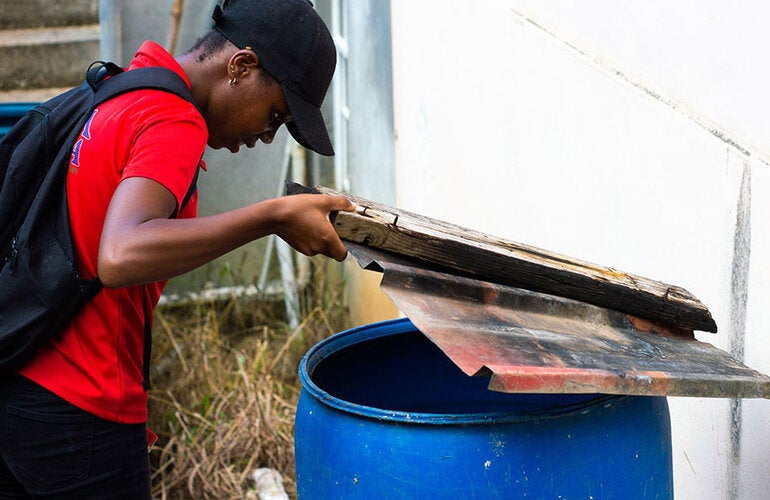 Inspection for mosquitoes