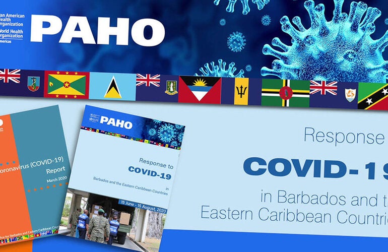 ECC COVID-19 report cover