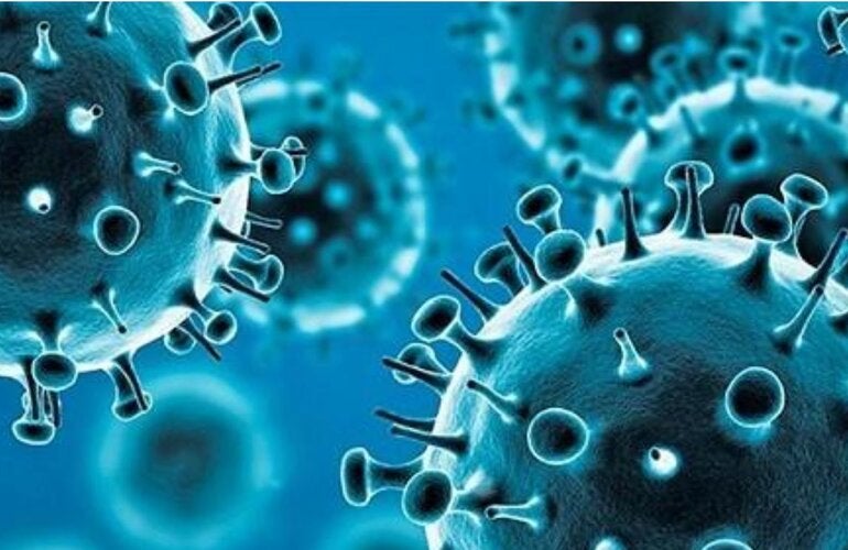 Illustration shoing a group  of coronavirus seen in blue tones