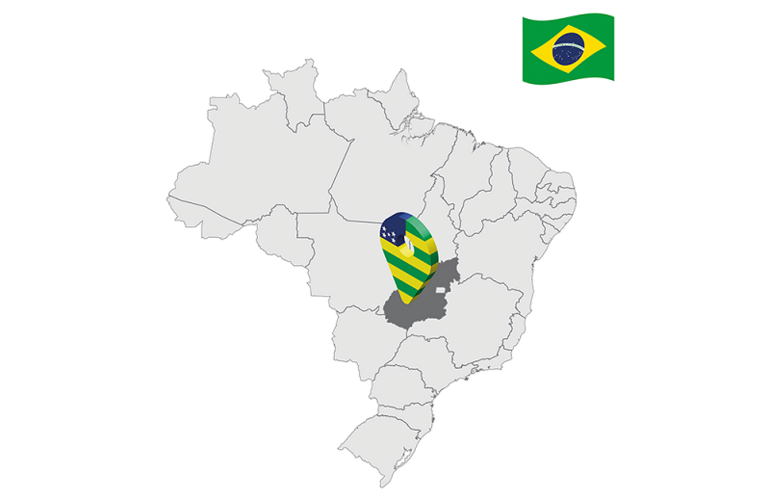 Missão COVID-19: OPAS e estado de Goiás trocam experiências 