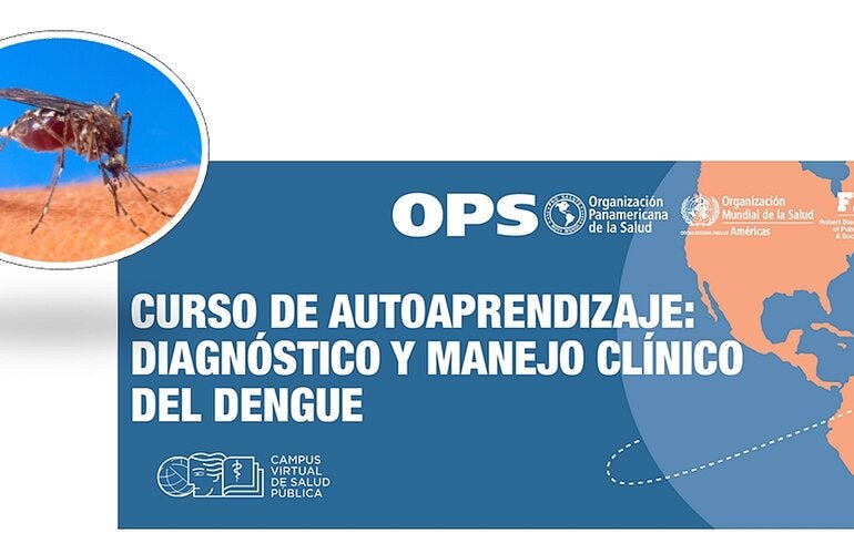 Curso dengue CVSP