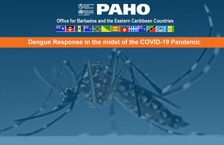 Flyer for Dengue  Webinar