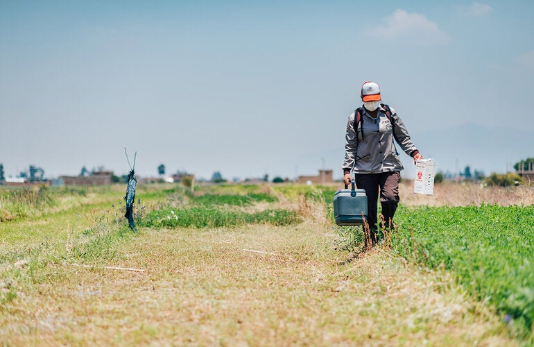 Vacunacion Punata Bolivia