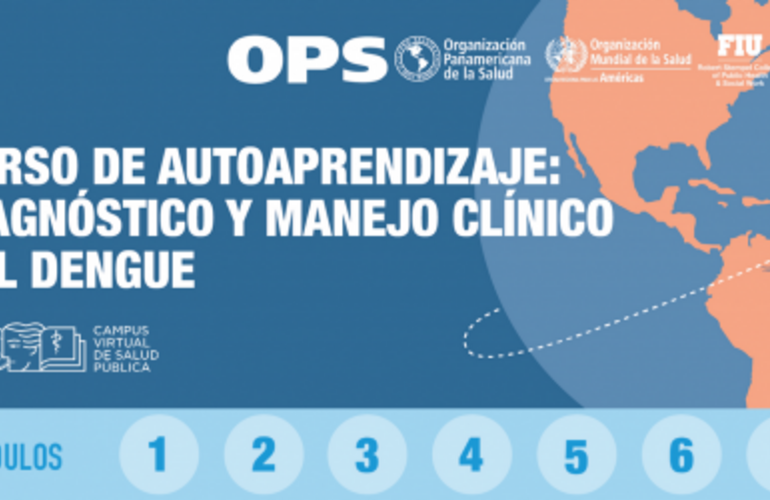 Informacion curso de dengue