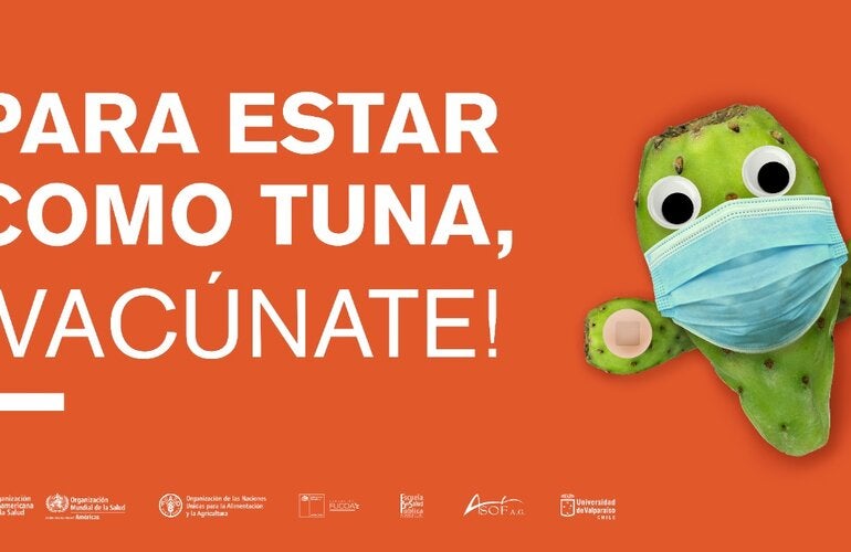 “PARA ESTAR COMO LECHUGA EN LA FERIA”, es una campaña cuya idea conceptual se basa en dichos populares chilenos, representado por frutas, verduras y productos a la venta en las ferias.