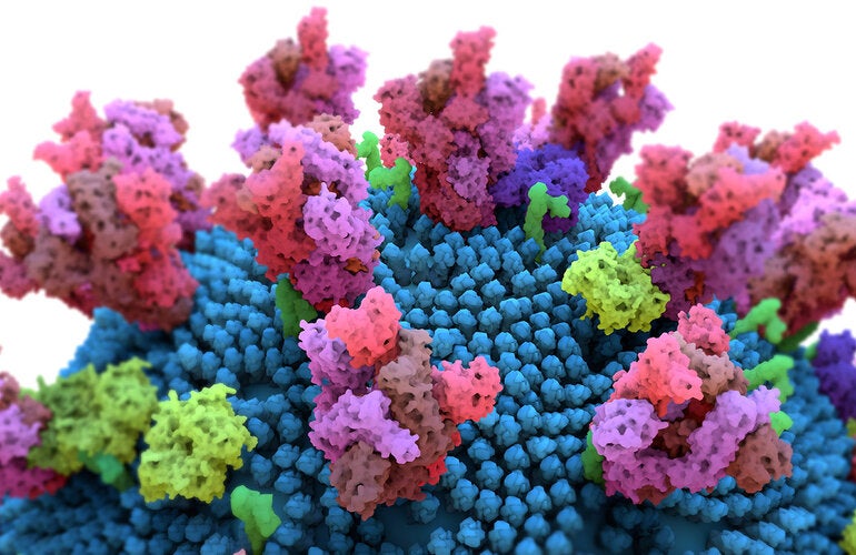 Variants of concern” of the virus that causes COVID-19, SARS-CoV-2