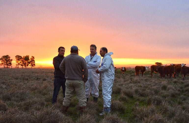 Consejo Directivo de OPS acuerda aplicar enfoque de “Una salud” para prevenir y abordar amenazas ligadas a la interrelación entre personas, animales y medio ambiente
