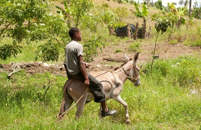 Adolescente en zona rural
