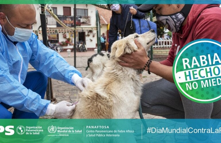 Dia Mundial Rabia2021