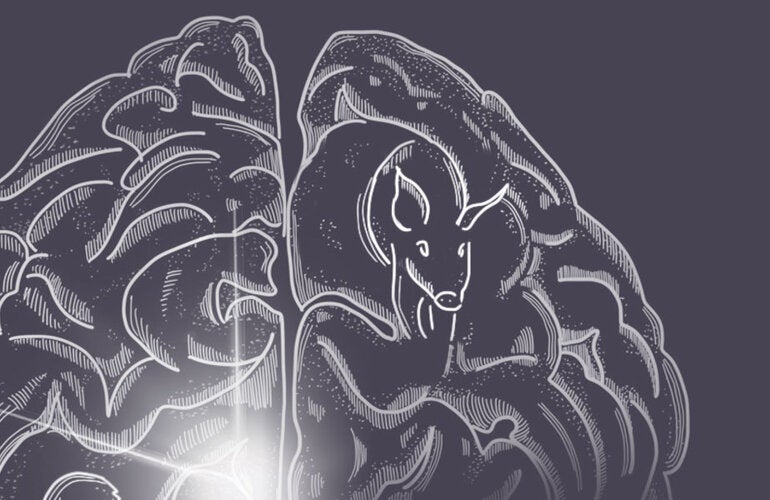 cover-taenia-solium-pub