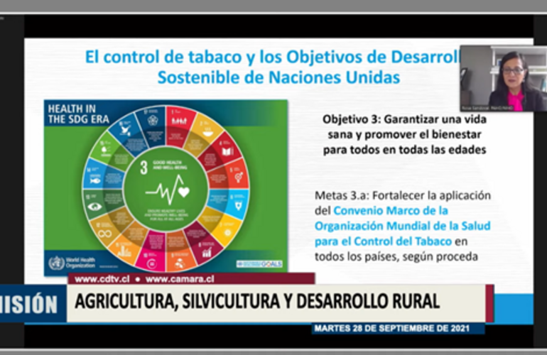 La iniciativa busca adecuar la legislación nacional al estándar del Convenio Marco de la Organización Mundial de la Salud para el control del tabaco y contempla la implementación del empaque neutro y la eliminación de saborizantes. 