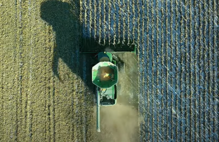 sistemas alimentarios