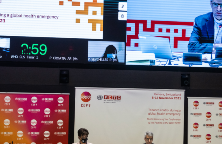 Image of panel at COP9 conference