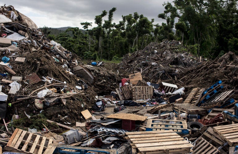 environmental health