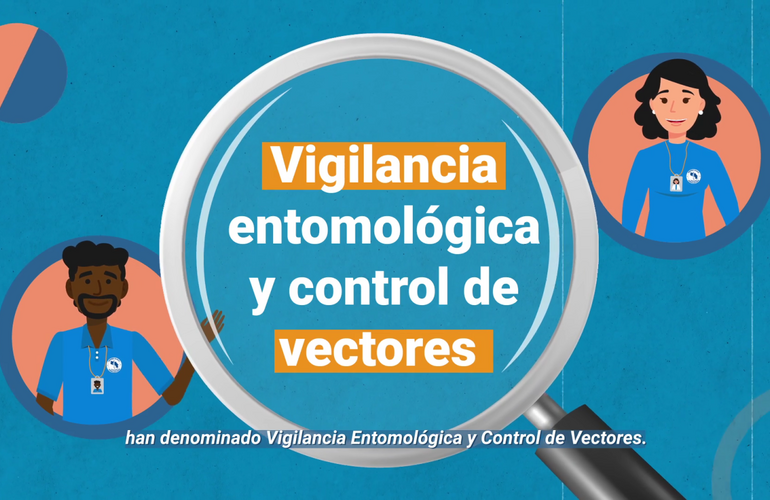 Vigilancia entomológica y control vectorial