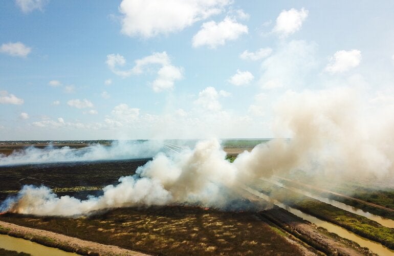 East Berbice wild fire
