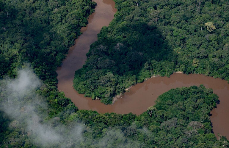 Vista aérea del Amazonas