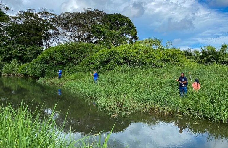 Trabajo de campo en vigilancia vectorial