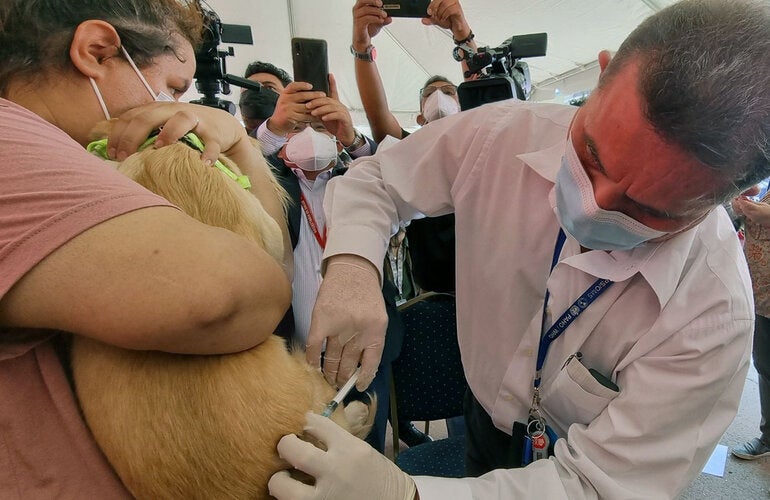 XXII Jornada vacunacion antirrabica