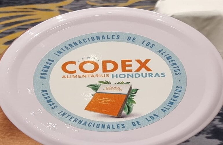 codex_junio2022